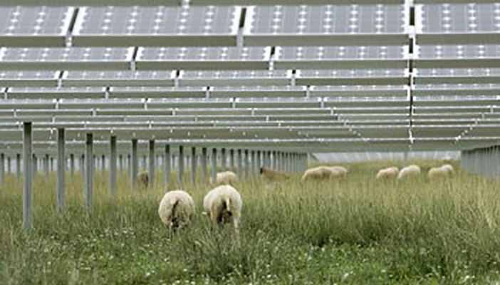 solar charge controller mpk series untuk perkebunan, pertanian, peternakan